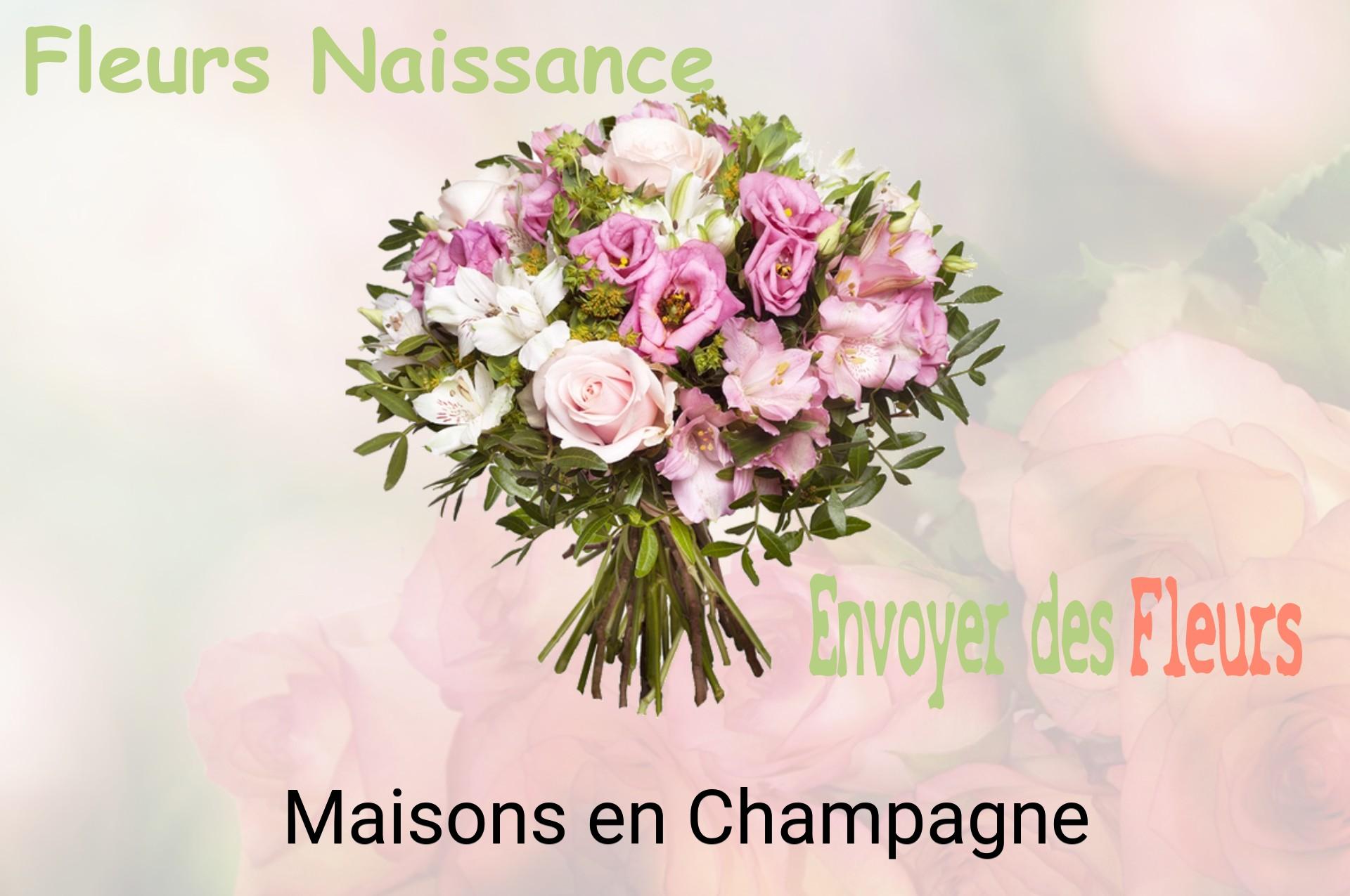 Bouquet de fleurs de naissance livré à Maisons-en-Champagne